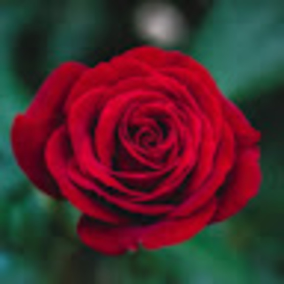 Meet your Posher, Teresa - Picture 1 of 1